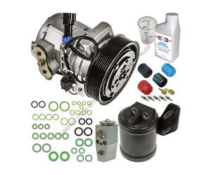 Alliance AC Compressor Kit